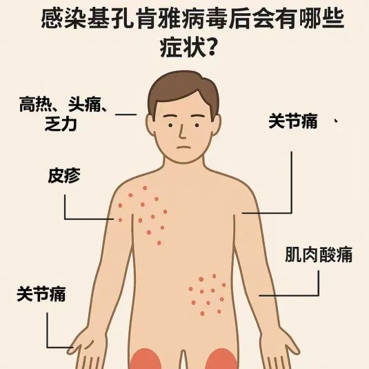 微信图片_2025-08-09_085031_449.jpg
