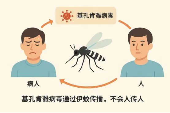 微信图片_2025-08-09_084933_155.jpg