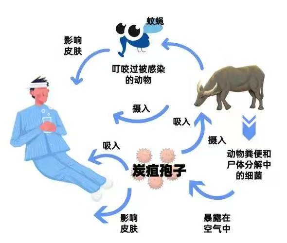 微信图片_20260723153431_2_632.jpg