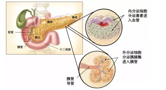 图文